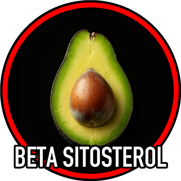 Beta Sitosterol