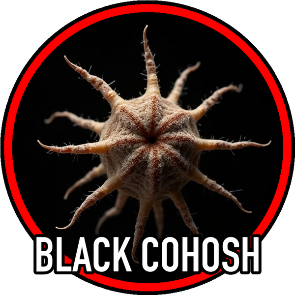 Black Cohosh