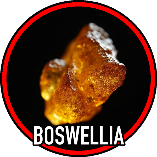 Boswellia