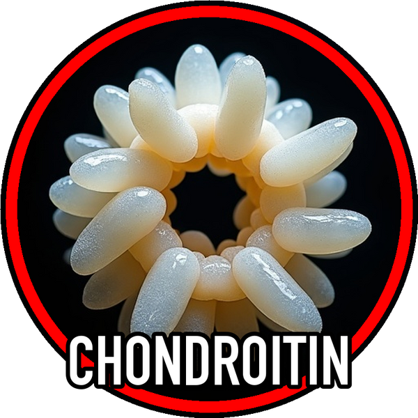 Chondroitin