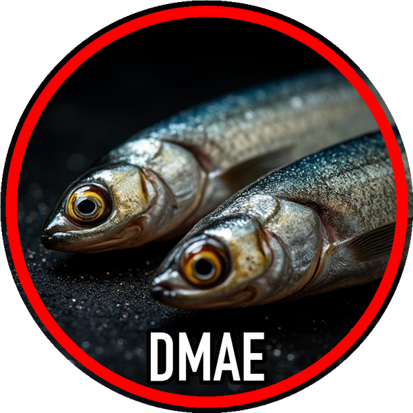Dmae