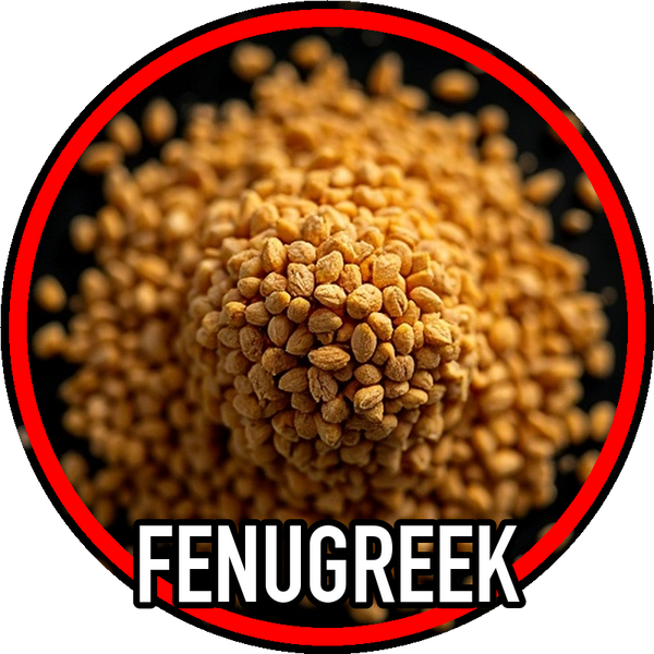 Fenugreek
