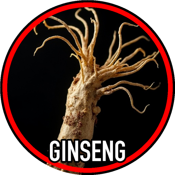 Ginseng