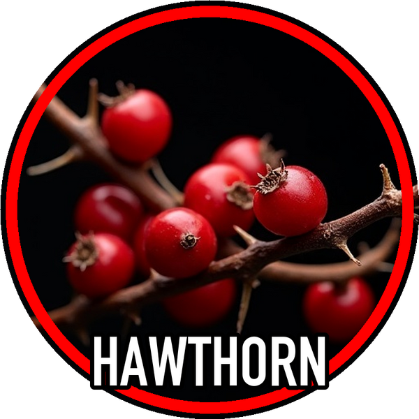 Hawthorn