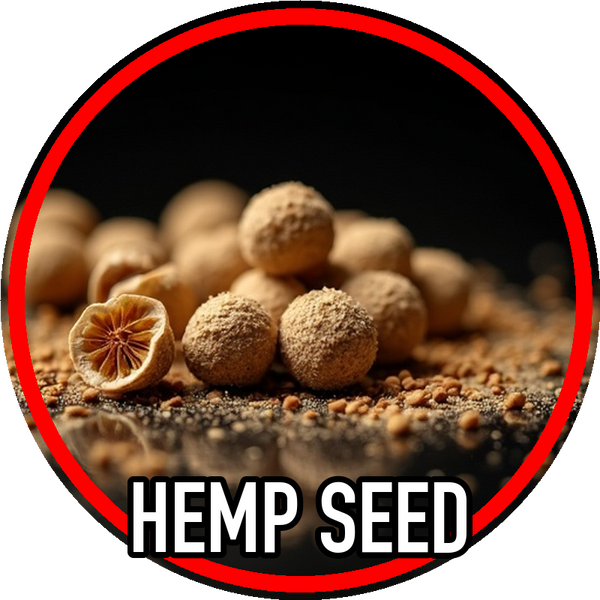 Hemp Seed