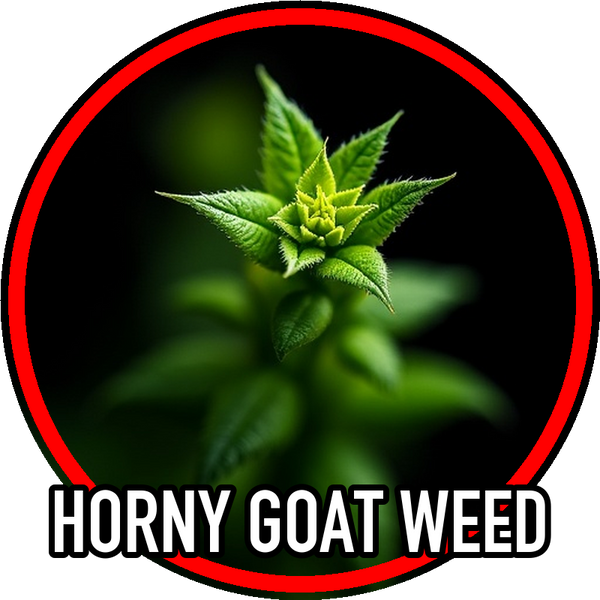 Horny Goat Weed