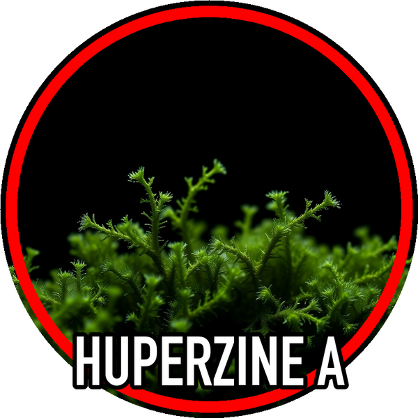 huperzine_a