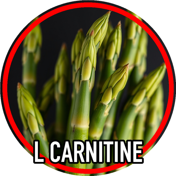 l_carnitine
