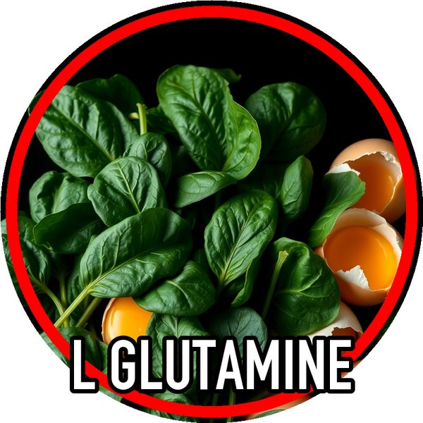 l_glutamine