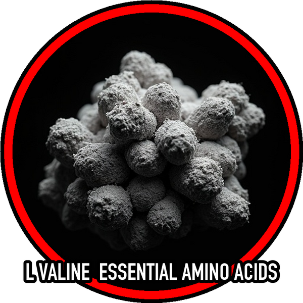 L Valine  Essential Amino Acids