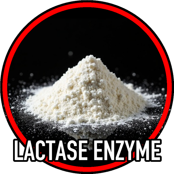Lactase Enzyme