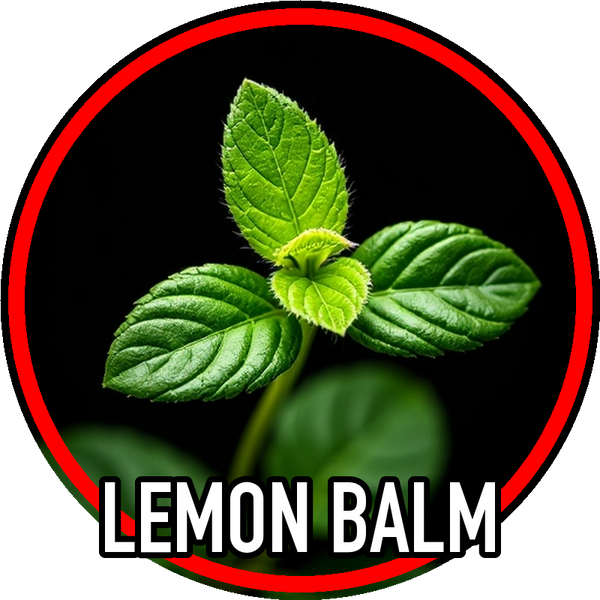 Lemon Balm