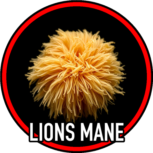 lions_mane