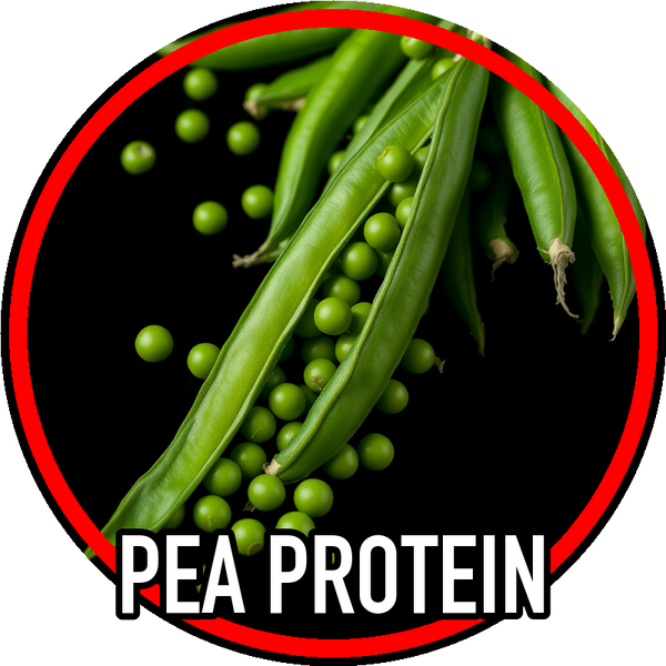 pea_protein