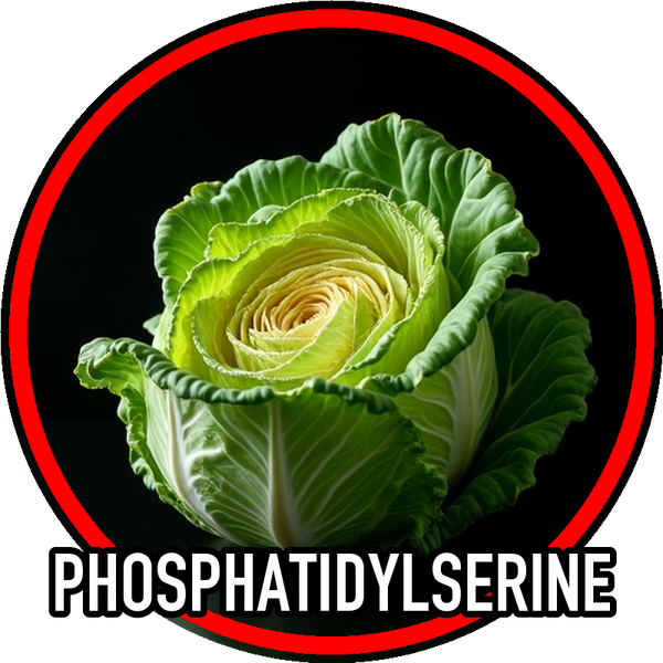 Phosphatidylserine