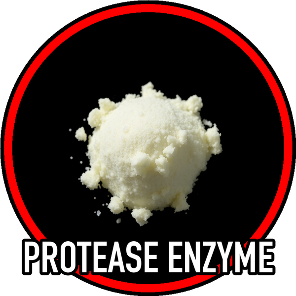 protease_enzyme
