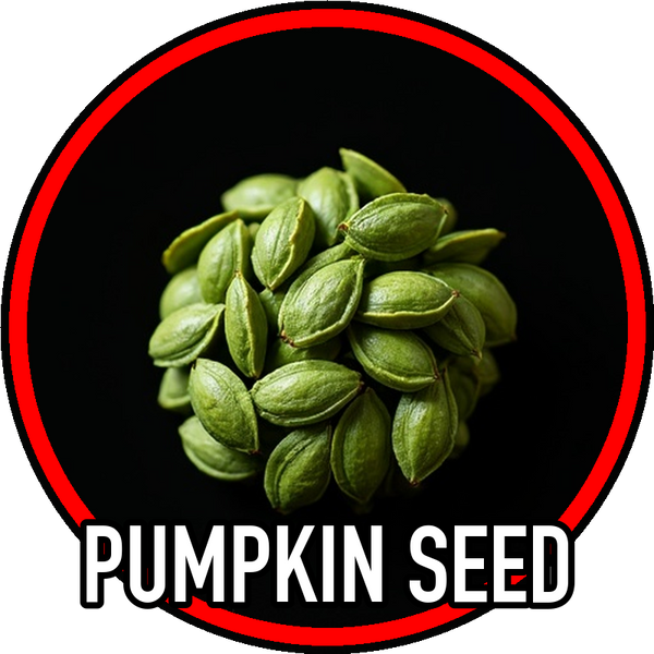 Pumpkin Seed