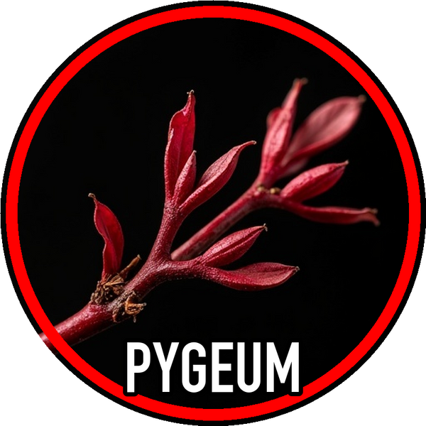 Pygeum