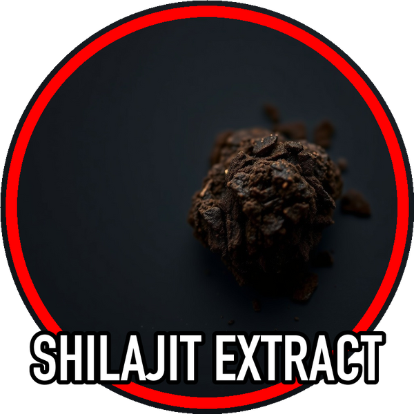shilajit_extract