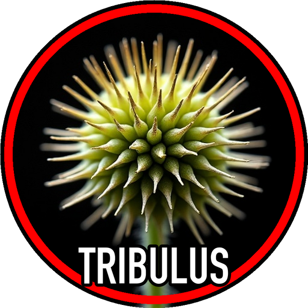 Tribulus