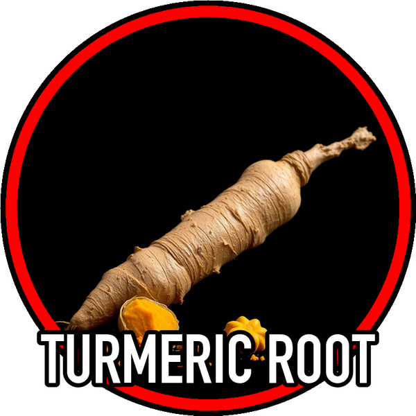 turmeric_root