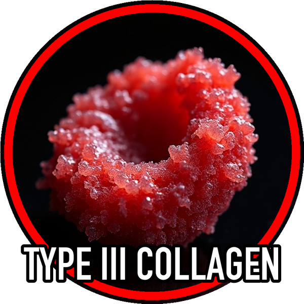 Type Iii Collagen