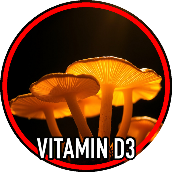vitamin_d3