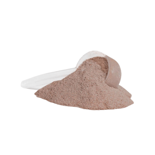 RECON PROTEIN (Chocolate Charge)